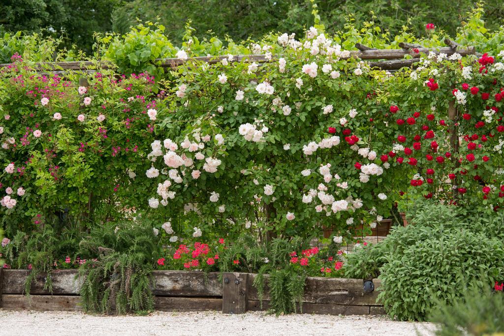 Ca'Bevilacqua Bed&Breakfast Bertinoro Bagian luar foto