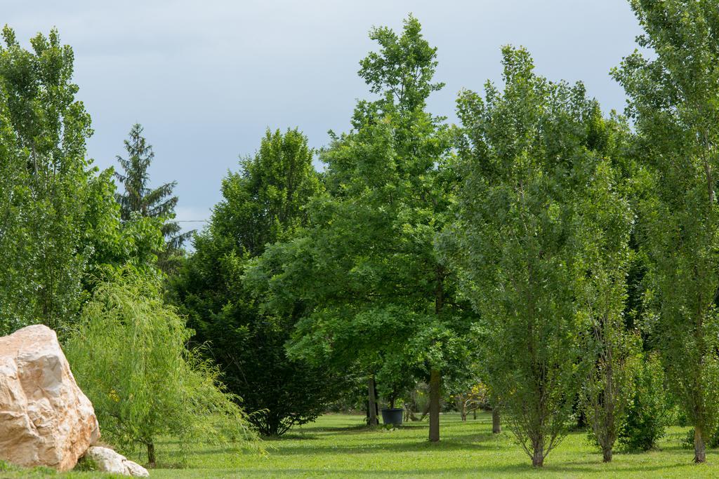 Ca'Bevilacqua Bed&Breakfast Bertinoro Bagian luar foto