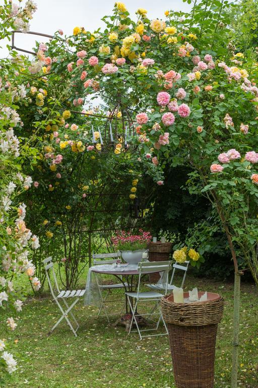 Ca'Bevilacqua Bed&Breakfast Bertinoro Bagian luar foto